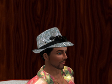 TM Sequin Fedora