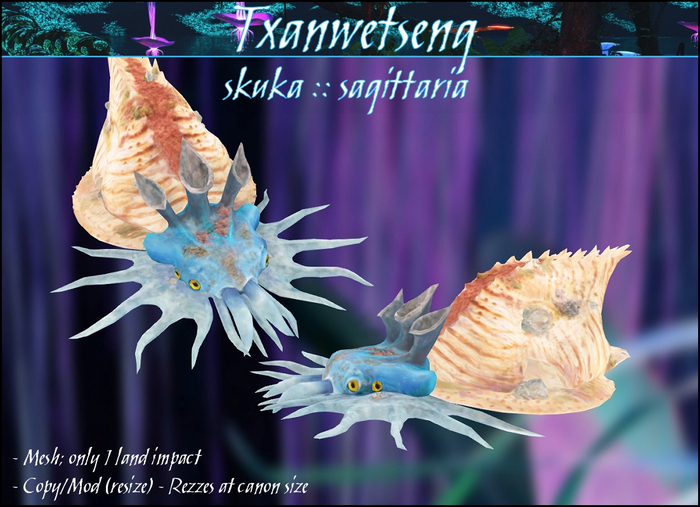 Txanwetseng :: Sagittaria / Saggitaria