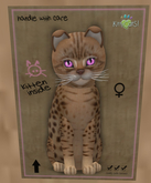KittyCatS Fur Ocicat - Chocolate 9T - F