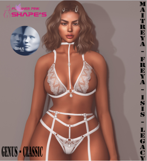 SHAPE - CLARIS - GENUS - CLASSIC