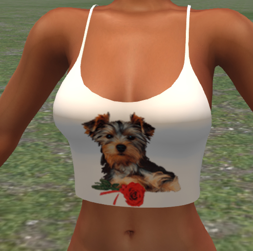 Top Dog Yorkshire Animated