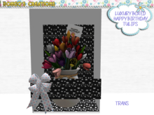 BMC904 - LUXURY BOXED - HAPPY BIRTHDAY - TULIPS. PERFECT GIFT FOR SOMEONE'S BIRTHDAY.