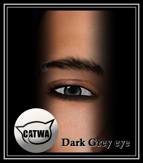 Dark Grey Eye CATWA Applier ( Add to unpack )