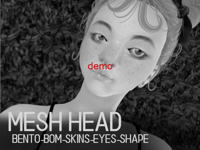 G&D demo SEOJUN BOM Bento Messh Head