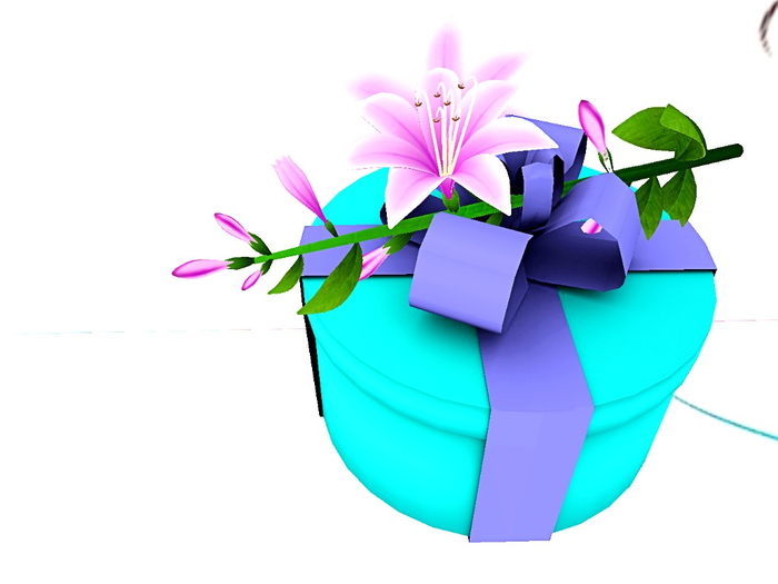 [Art Emporium] Gift Box Shop [boxed)- Round Floral T