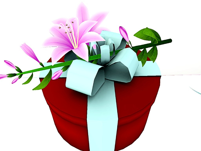 [Art Emporium] Gift Box Shop [boxed)- Round Floral R