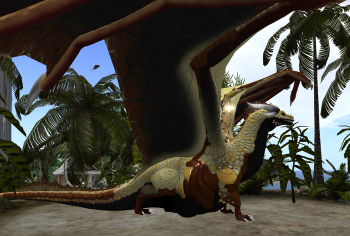 European dragon chonk