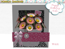 BMC913 - LUXURY BOXED - HAPPY BIRTHDAY WIFE - DAISIES.