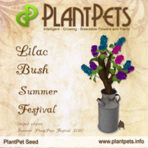 PlantPet Seed [Lilac Bush *Summer Festival*]