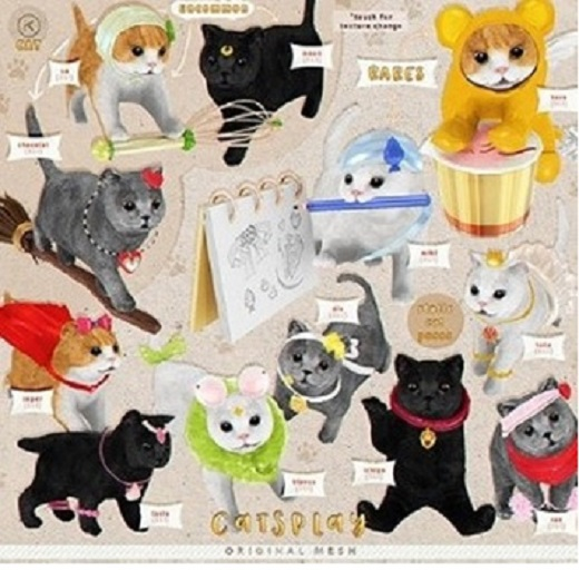 kotte - cat catsplay - su