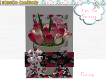 BMC919 - LUXURY BOXED - I'M SO SORRY - ROSES.