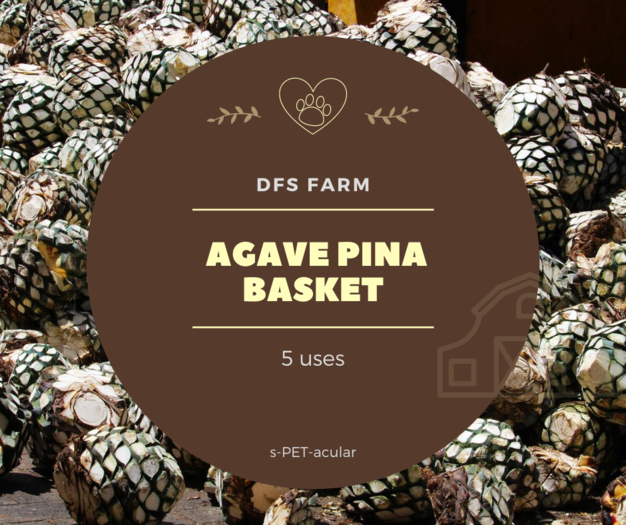 DFS Agave Pina Basket
