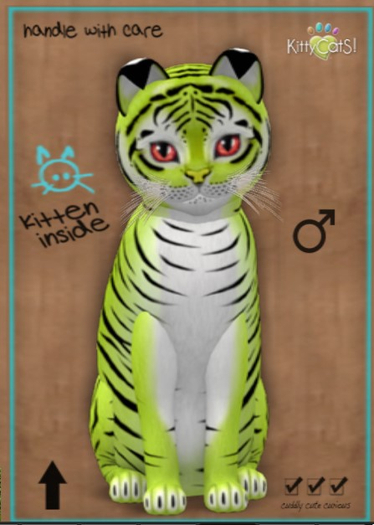 KittyCatS Box - New Born Kitten