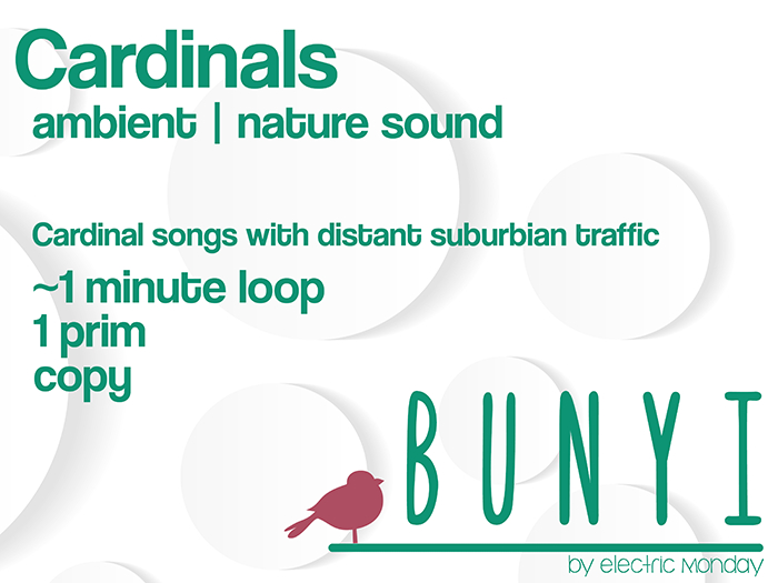Bunyi Nature Sounds- Cardinals
