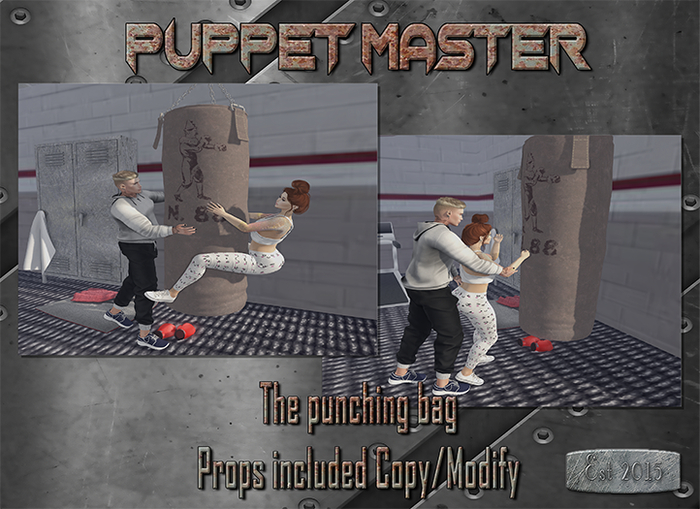 .:PM:.The Punching bag {boxed}