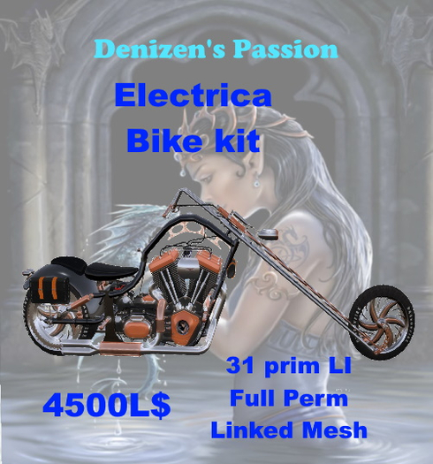 "Electrica" Bike Kit  HAT