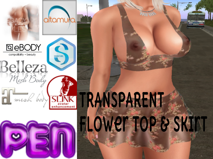 Pen-->Transparent Flower Top & Skirt