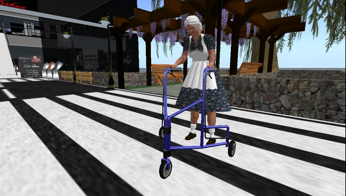 Grandma/Grandpa's Walker - WEAR ME (pelvis)