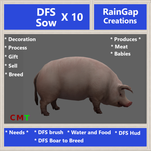 DFS SOW X 10 (0 days old)