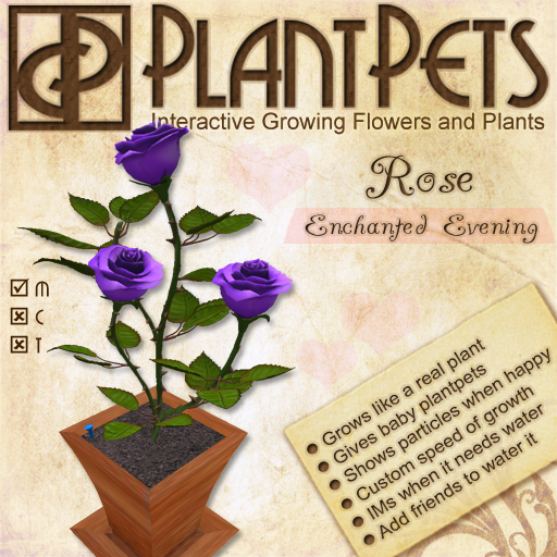 PlantPet Seed [Rose *Enchanted Evening*]
