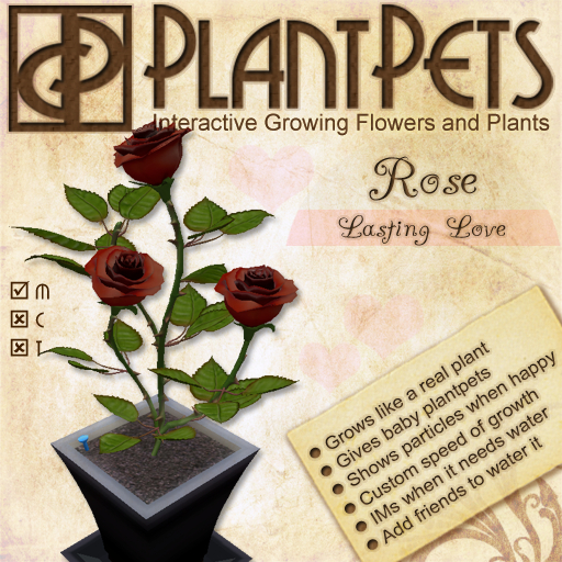 PlantPet Seed [Rose *Lasting Love*]