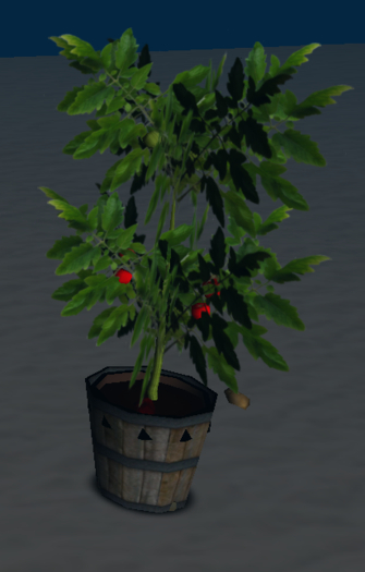Tomato Plant 2.1