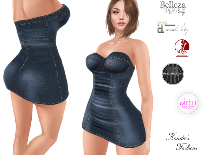 Simple Denim Dress