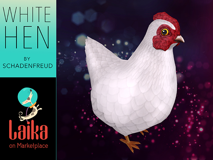 Schadenfreude White Hen Chicken!