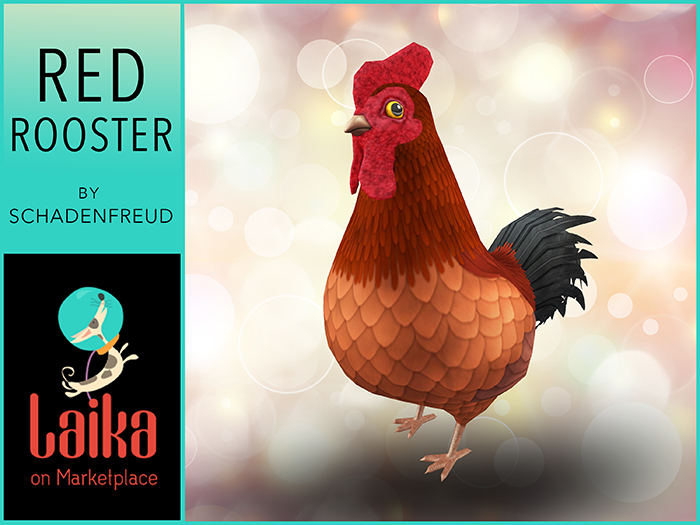 Schadenfreude Red Rooster Chicken!