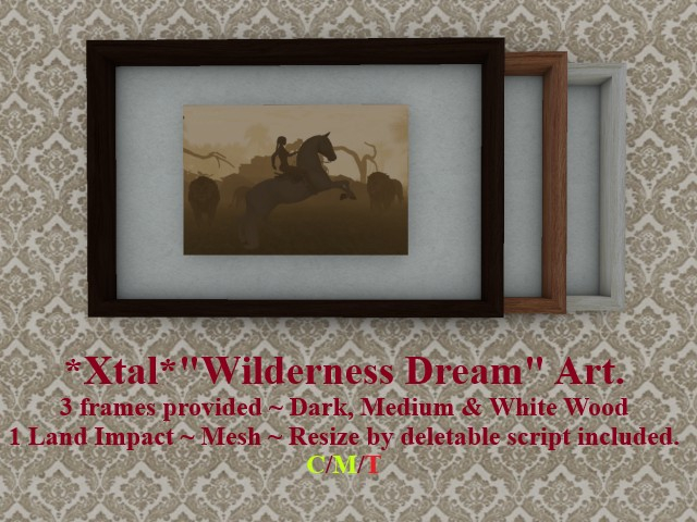 *Xtal* "Wilderness Dream" Art