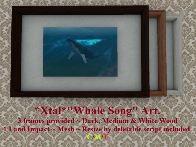 *Xtal* "Whale Song" Art