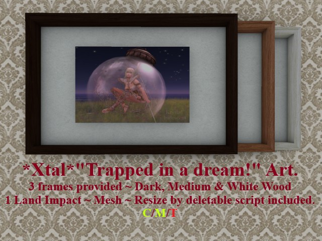 *Xtal* "Trapped in a dream!" Art