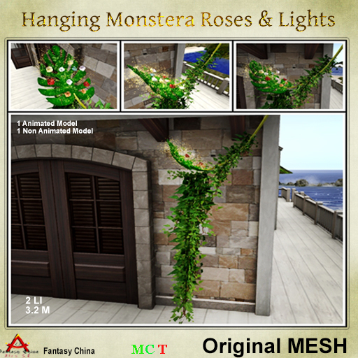 Monstera