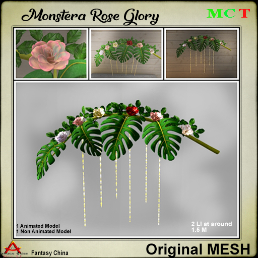 Monstera