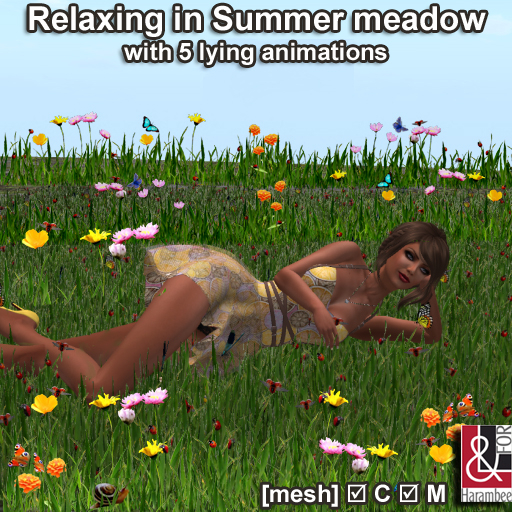Relaxing in Summer meadow multisit