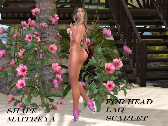Shape maitreya  head LAQ SCARLET