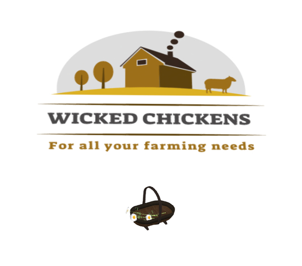 DFS Herb - Chamomile Basket