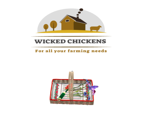 DFS Flowers - Wild Flower Basket (ACTUAL ITEM)