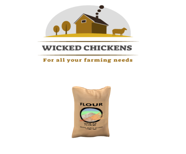 DFS Flour (ACTUAL ITEM)