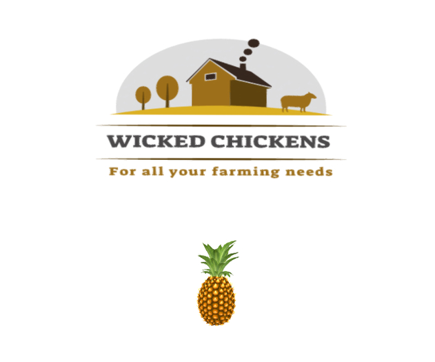 DFS Pineapple (ACTUAL ITEM)