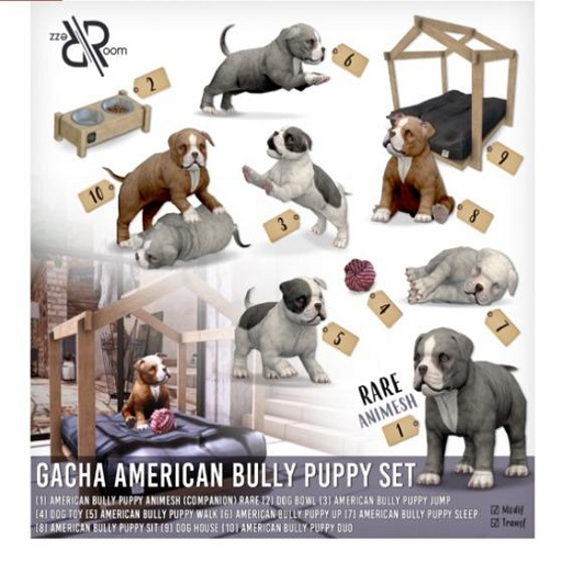 [Rezz Room] Box American Bully Puppy Jump