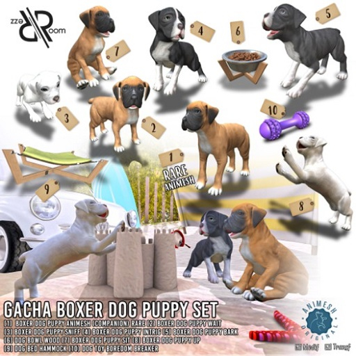 [Rezz Room] Pack Boxer Dog Puppy Sniff