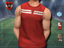 Men's Training Tank Top - Osterreich