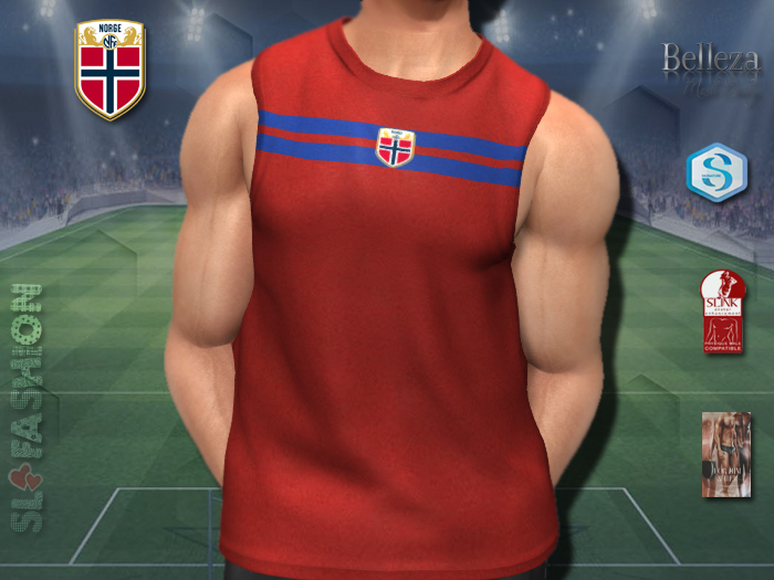 Men's Training Tank Top - Norway