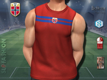 Men's Training Tank Top - Norway