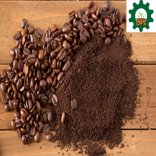 DFS Coffee X5