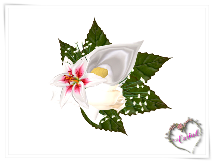 Ti a Fi am byth - Winter Effervescence - Grooms Boutonniere
