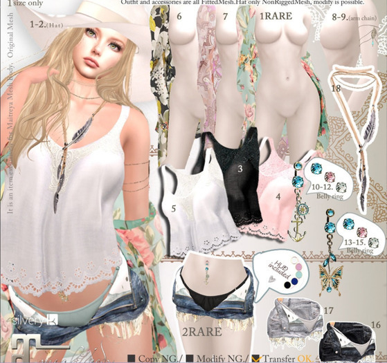 *:..Silvery K..:*BohoStyle ver2_HatB(1)