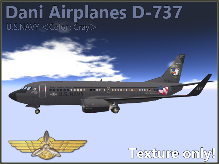Paint D-737 (US NAVY GRAY R1)