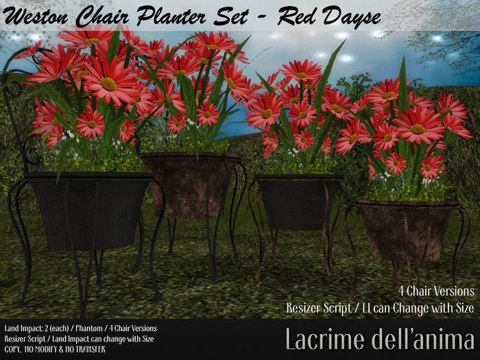 (BOX) Weston Chair Planter Set - Red Dayse